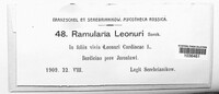 Ramularia leonuri image
